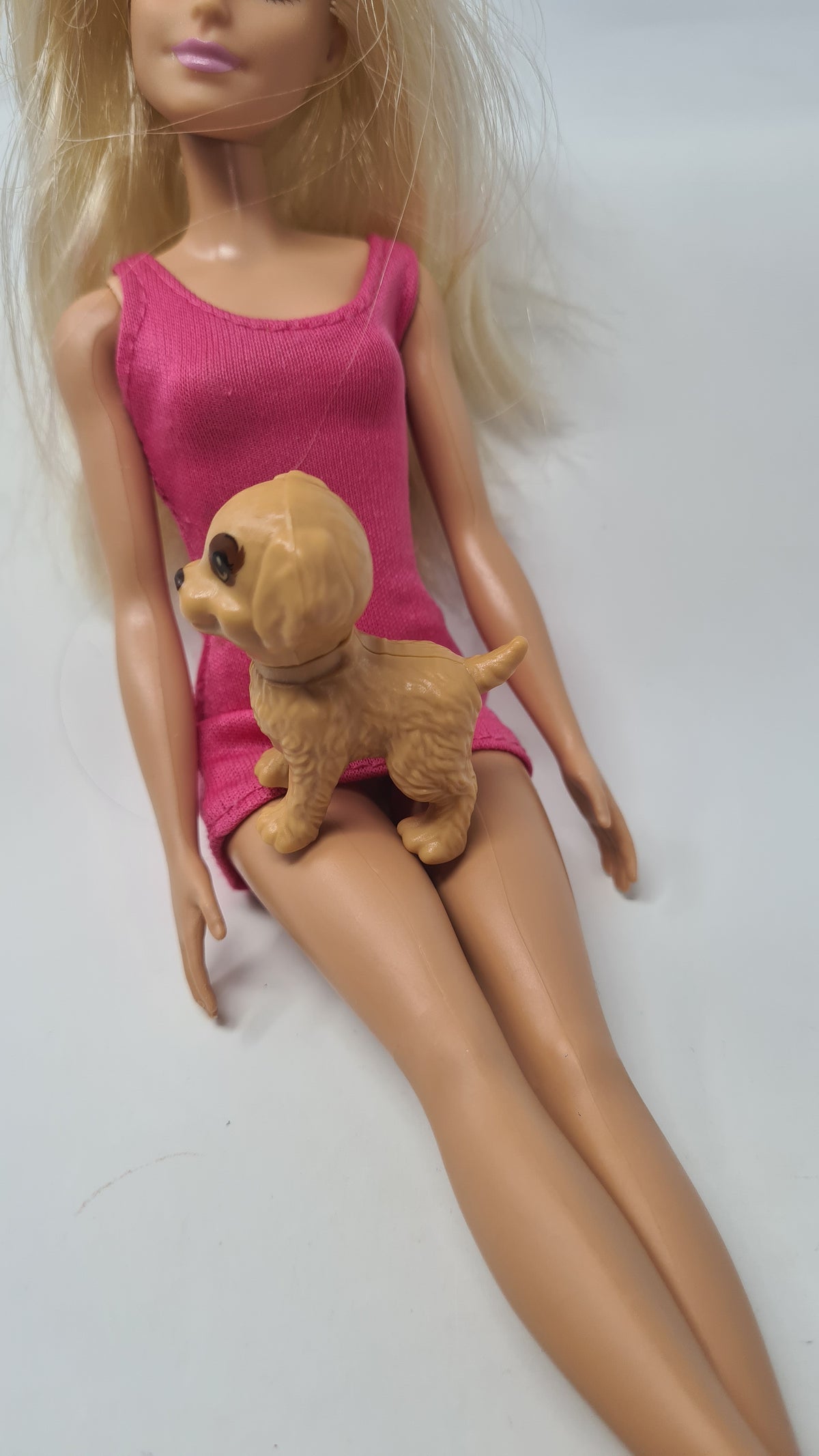 Barbie Doll Pet Dog
