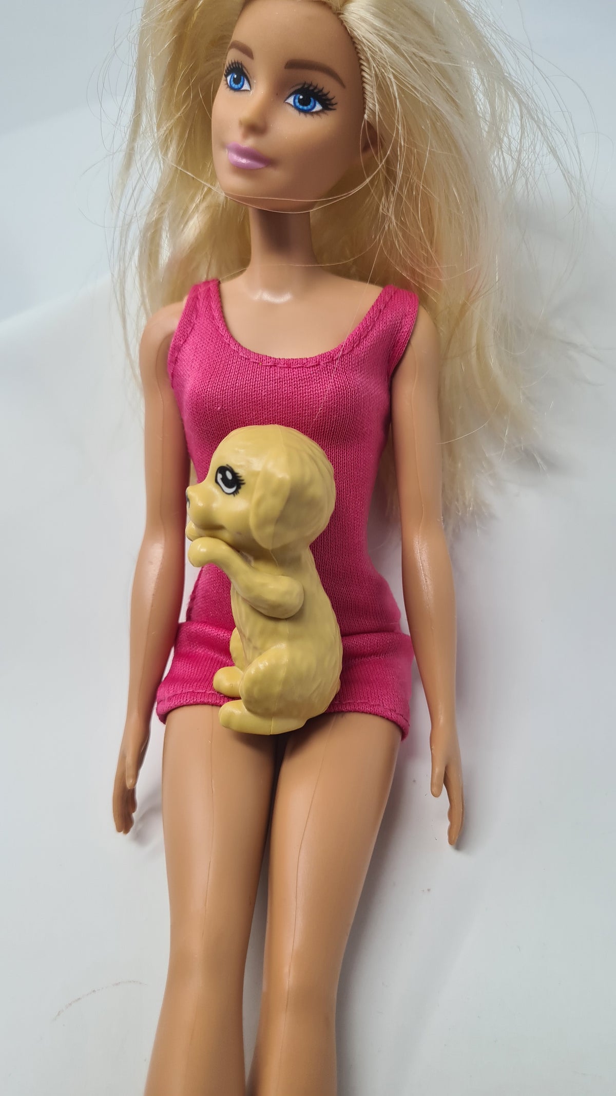 Barbie Doll Pet Dog