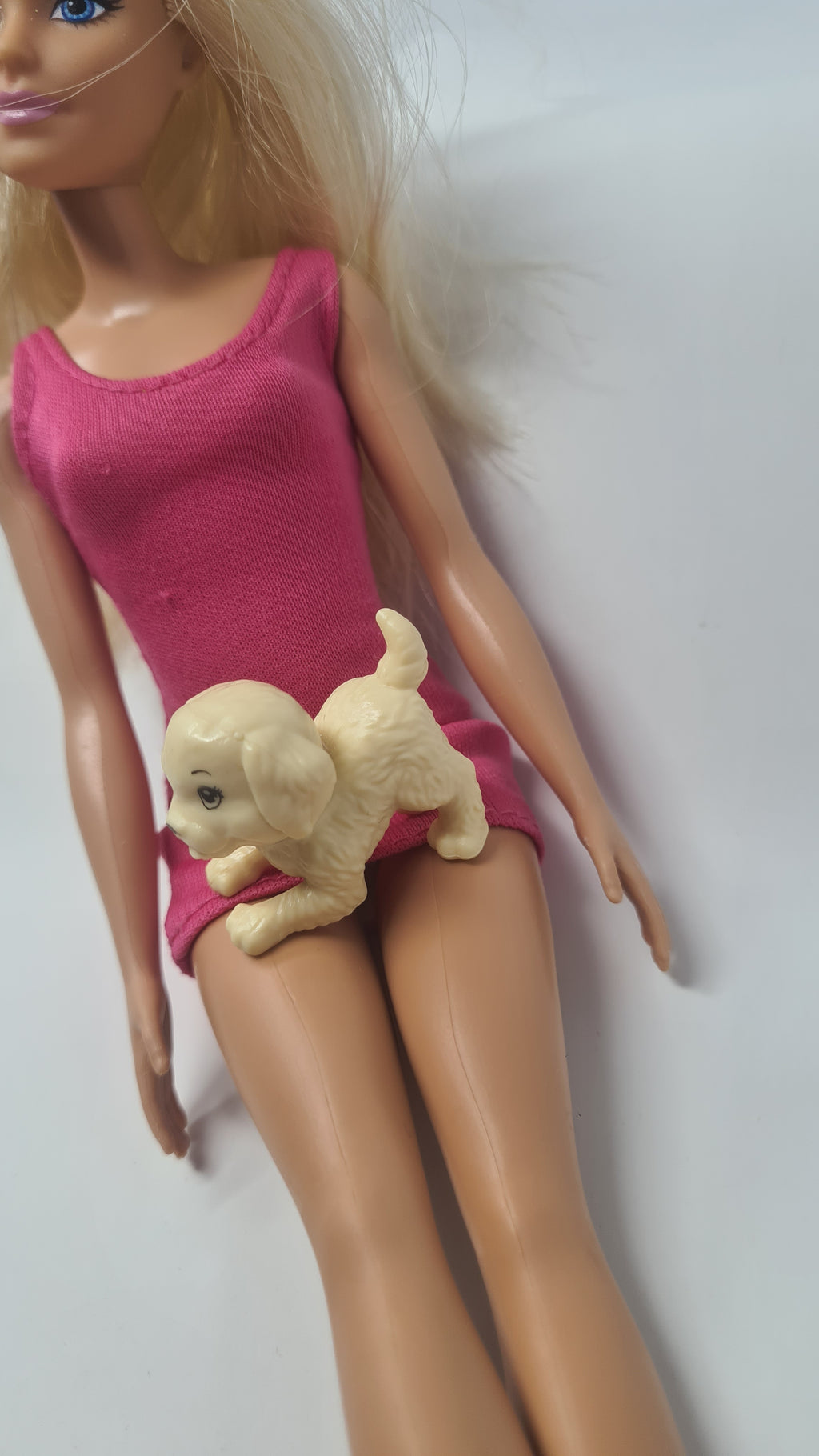 Barbie Doll Pet Dog