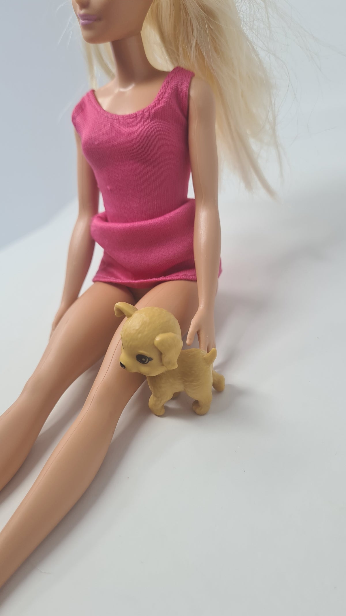 Barbie Doll Pet Dog