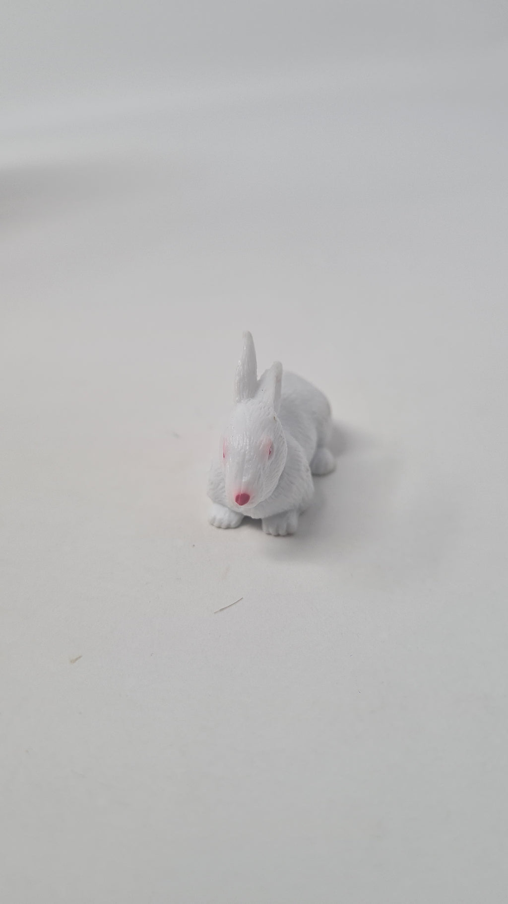 Barbie Doll Pet Rabbit