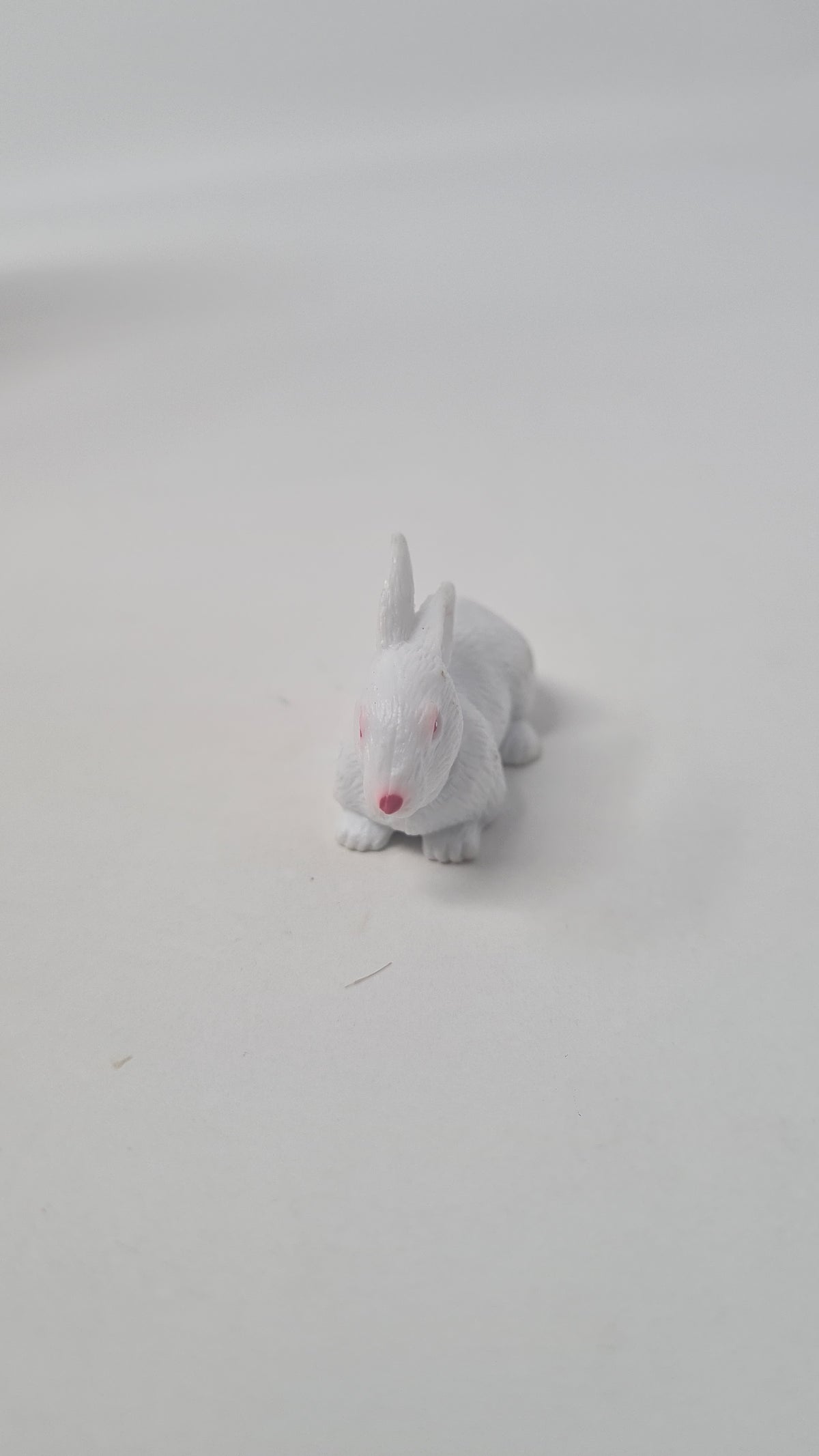 Barbie Doll Pet Rabbit