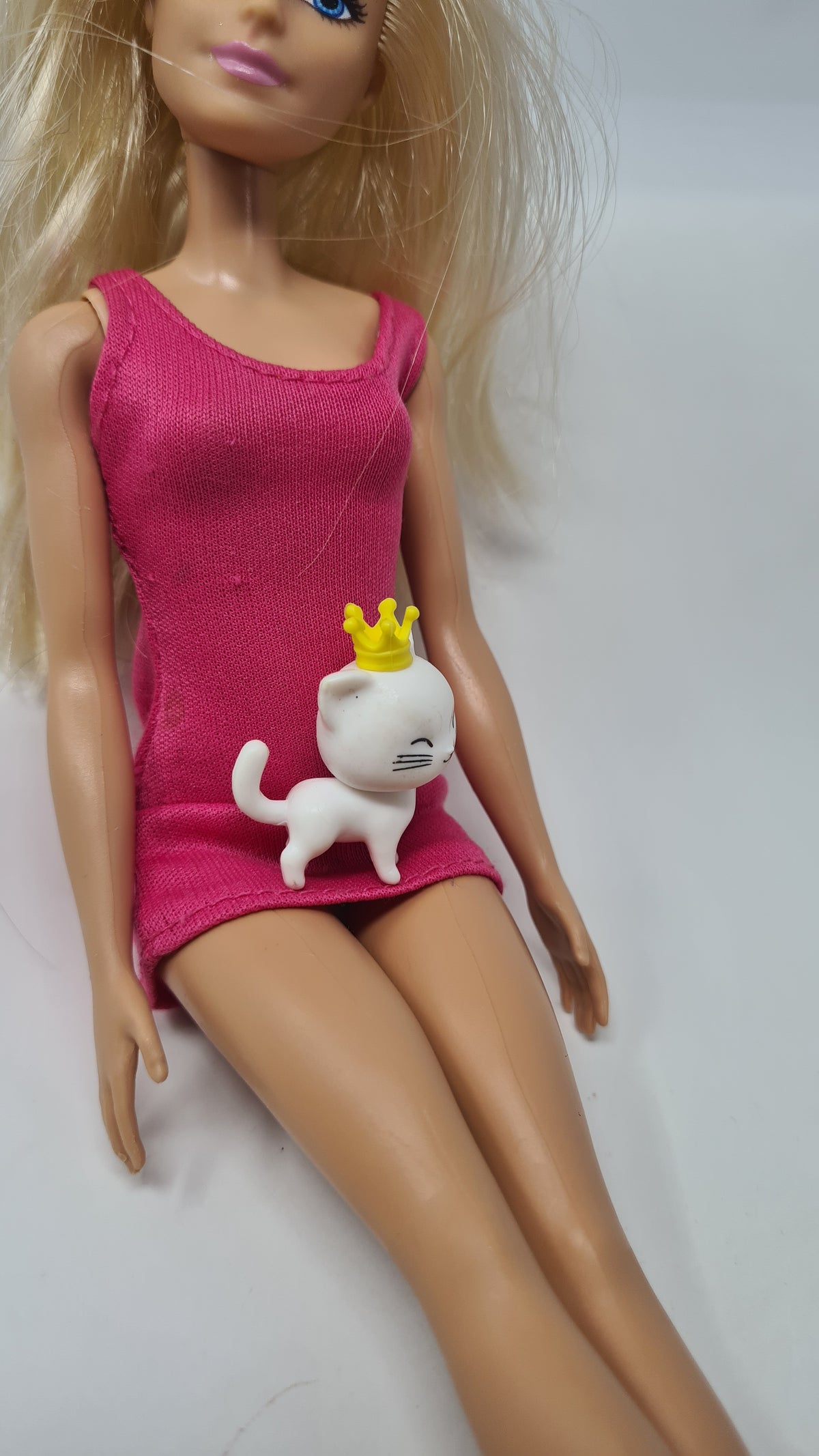 Barbie Doll Pet Cat