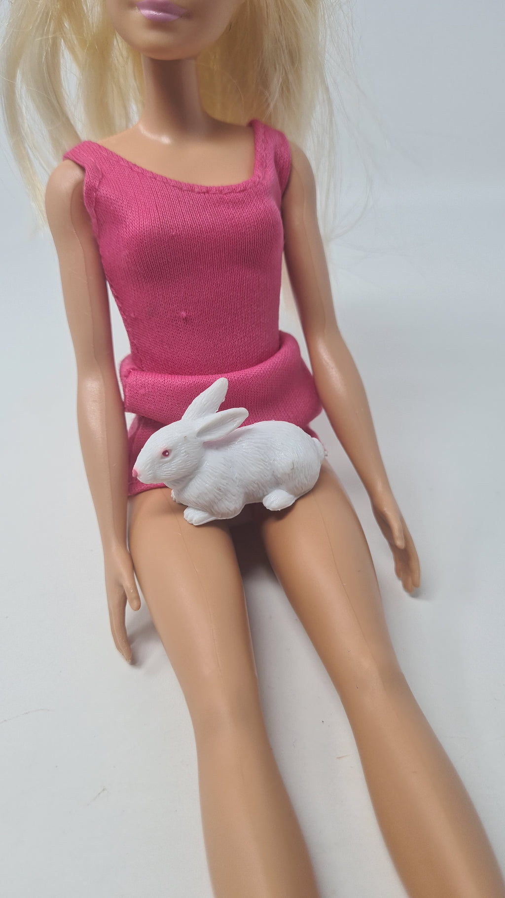 Barbie Doll Pet Rabbit