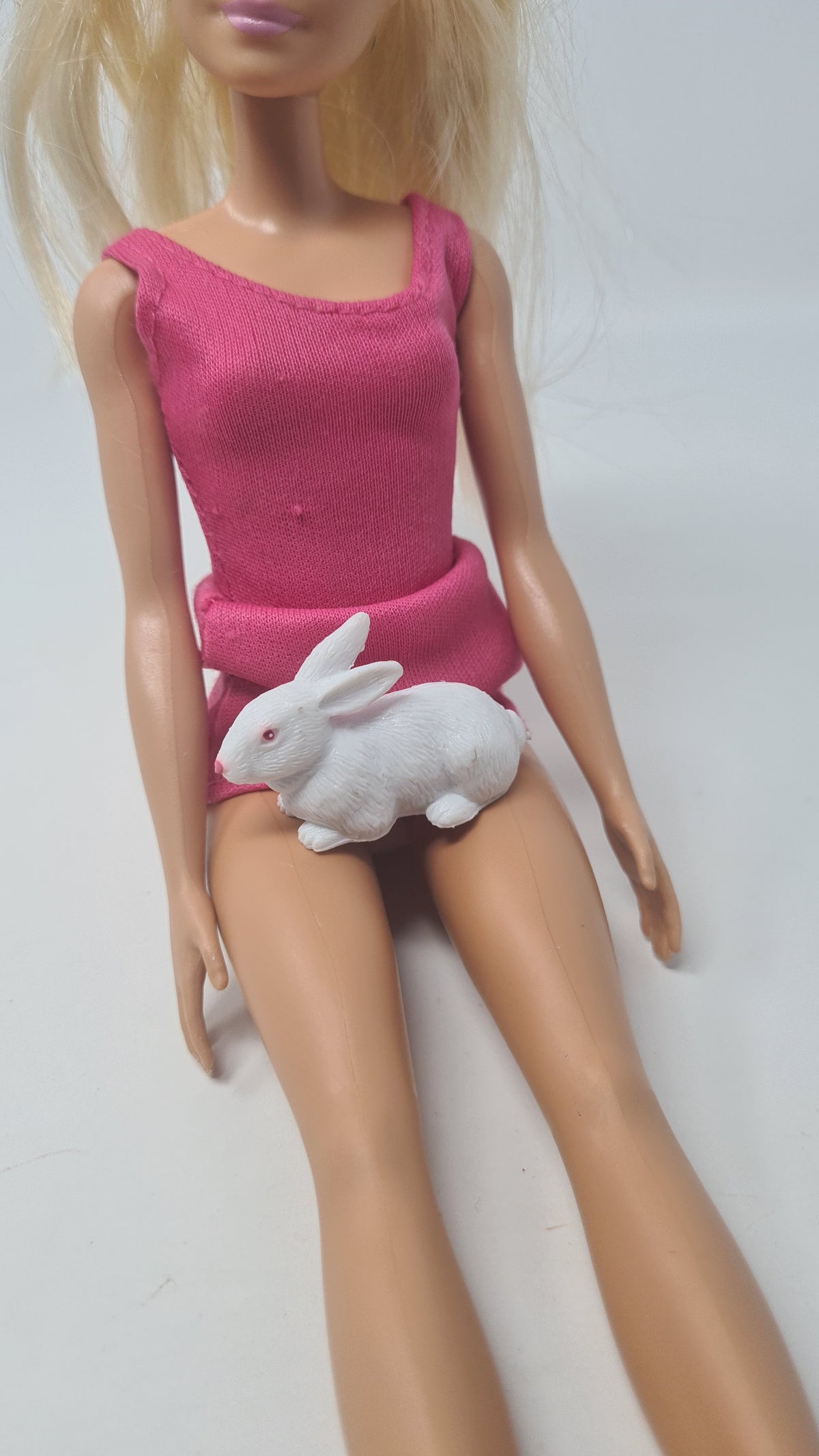 Barbie Doll Pet Rabbit