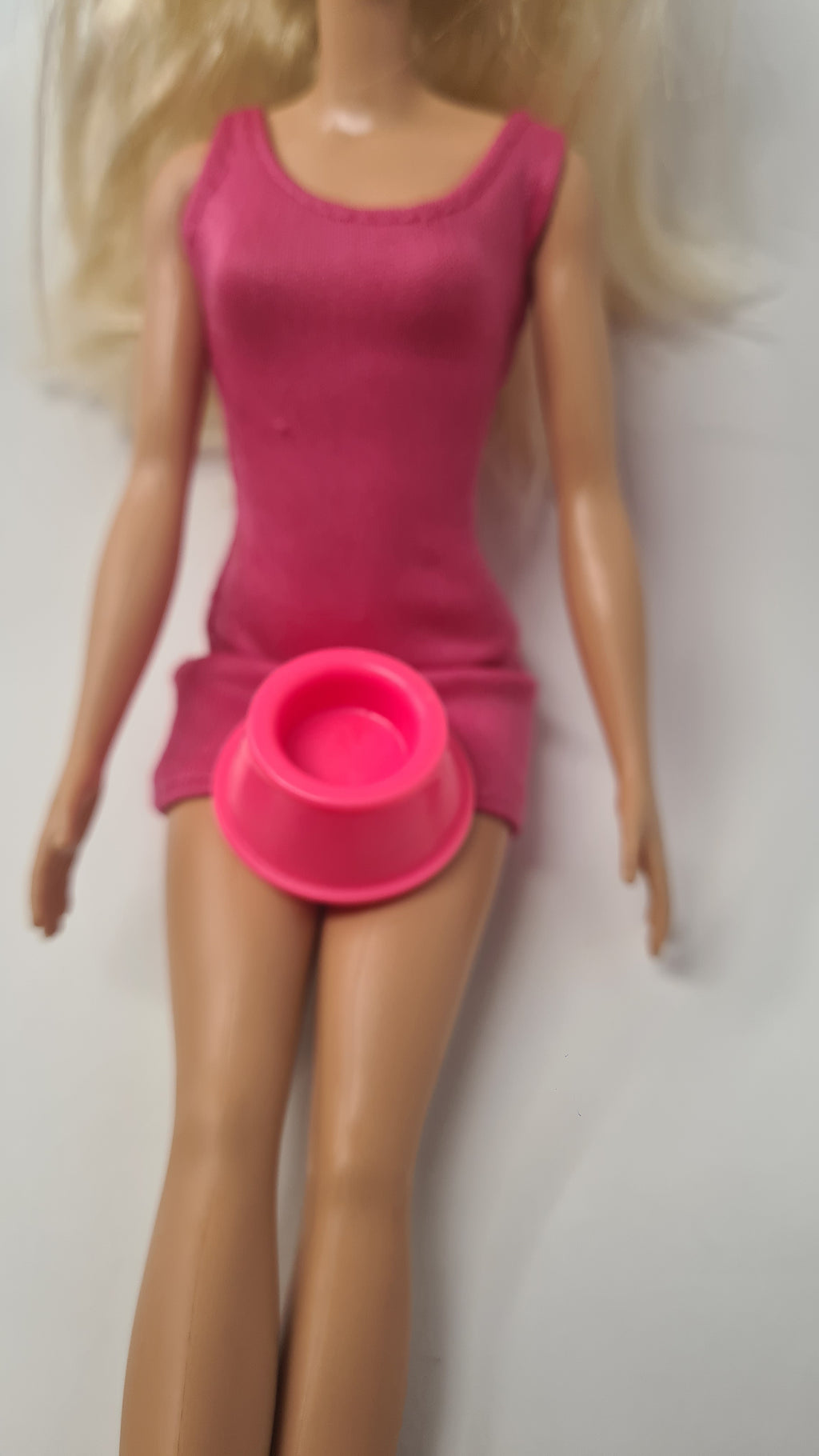 Barbie Doll Pet Bowl