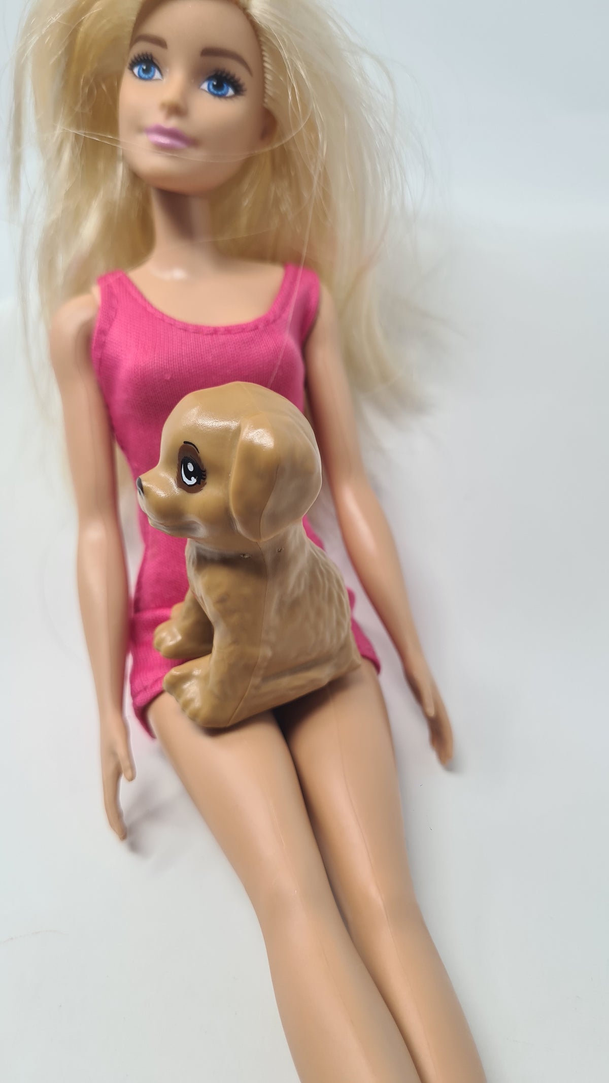 Barbie Doll Pet Dog