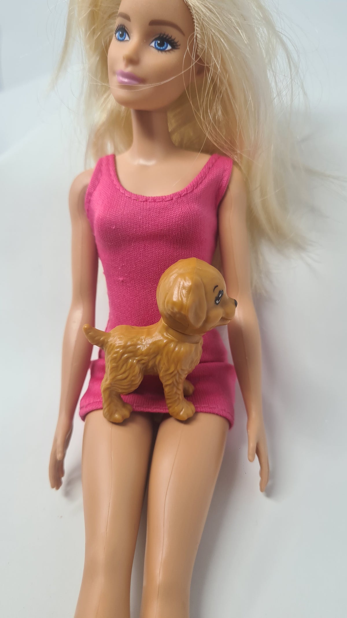 Barbie Doll Pet Dog