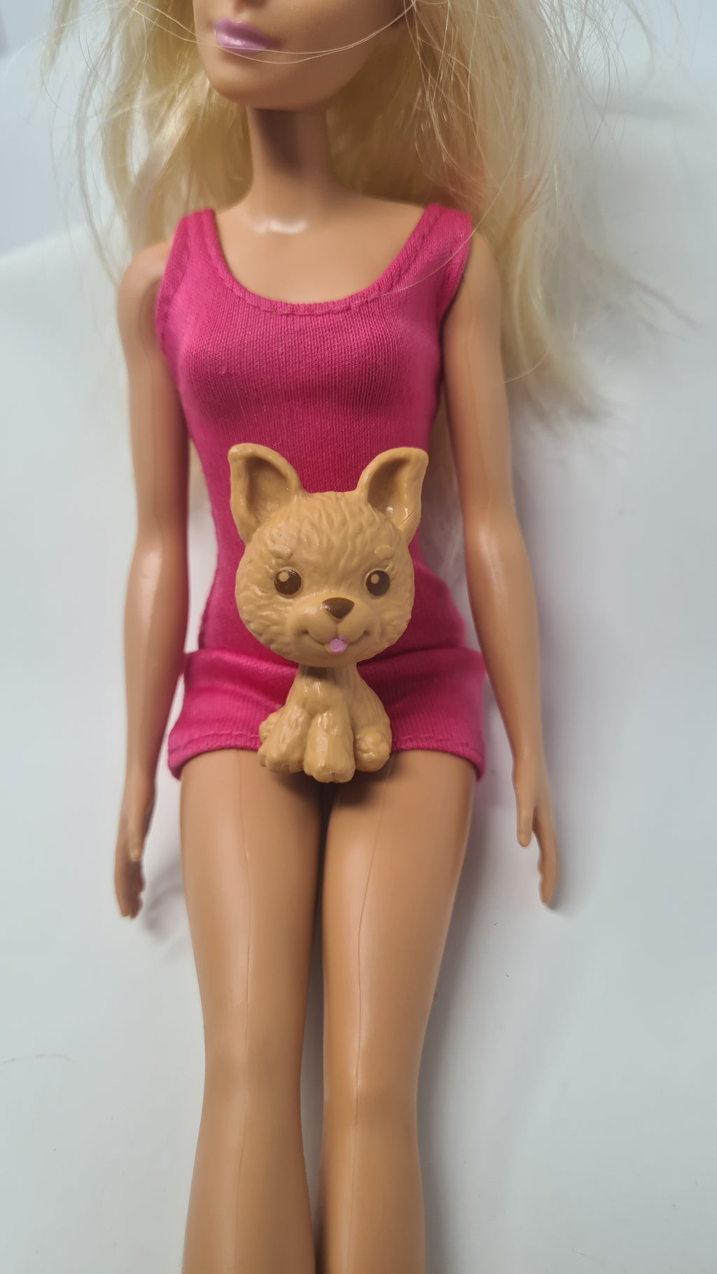 Barbie Doll Pet Dog