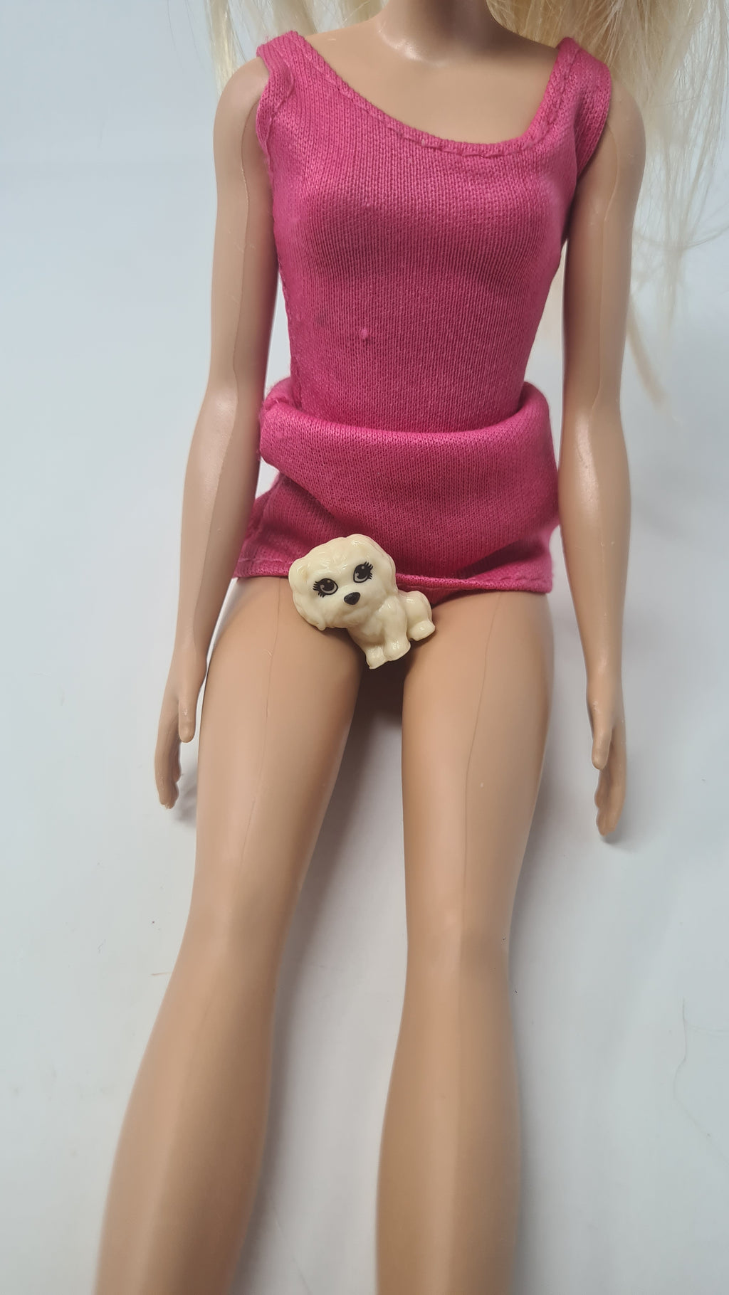 Barbie Doll Pet Puppy Dog