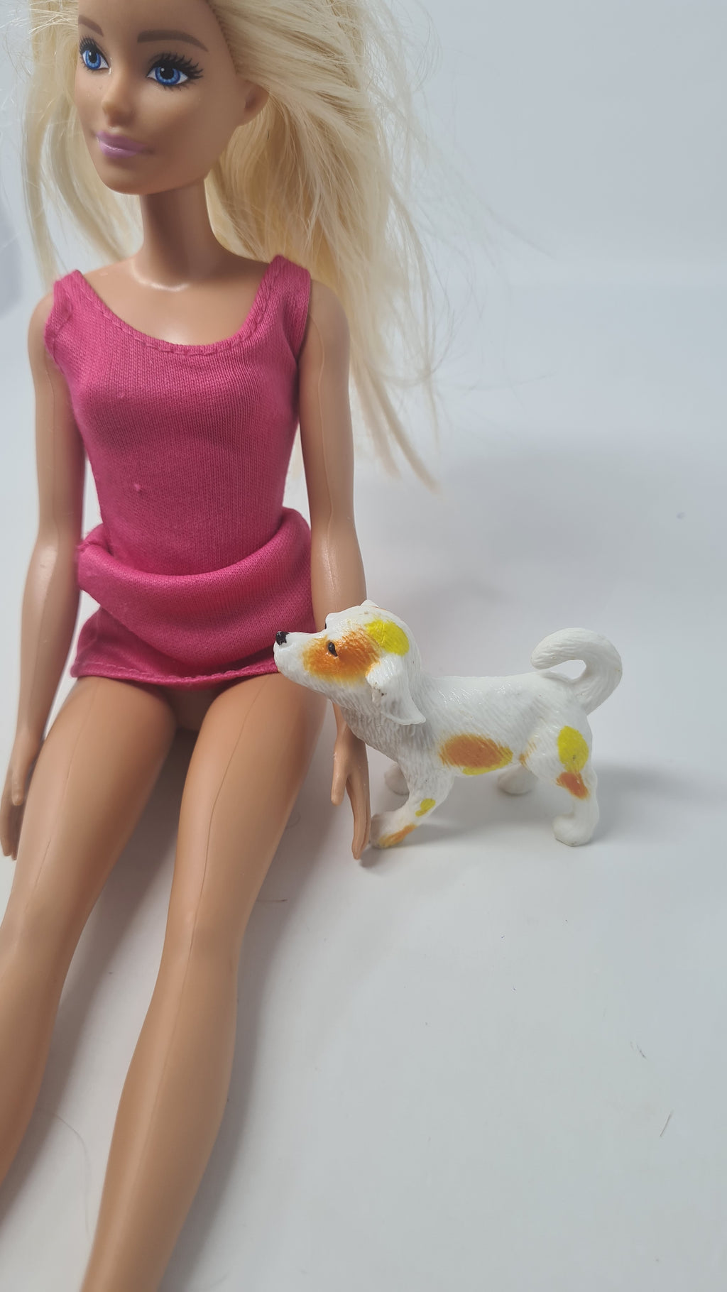 Barbie Type Doll Pet Dog