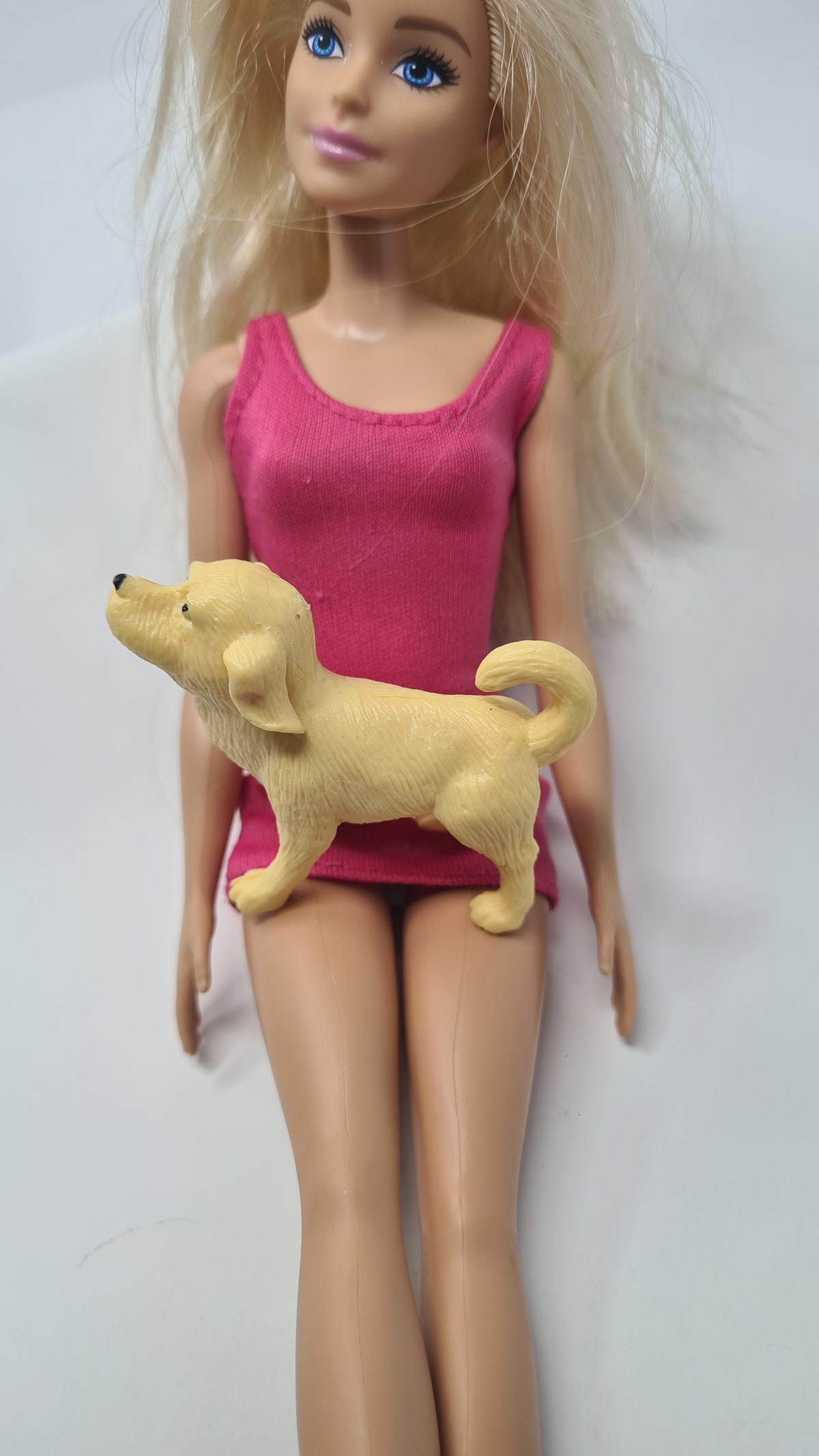 Barbie Type Doll Pet Dog